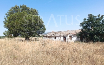 Restoration Project - For Sale - Yecla - Rural location