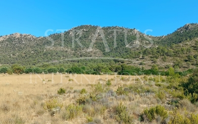 Land - For Sale - Yecla - Rural location