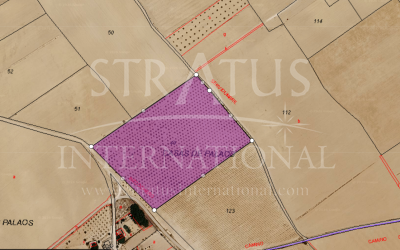 Land - For Sale - Yecla - Yecla