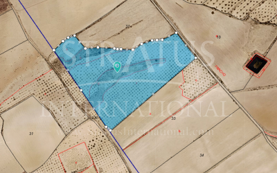 Land - For Sale - Yecla - Yecla