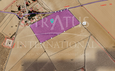 Land - For Sale - Yecla - Yecla