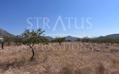 Land - For Sale - Macisvenda - Rural location