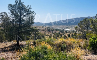 Land - For Sale - La Romana - Inland