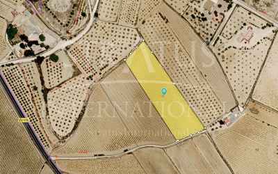 Land - For Sale - Pinoso - Inland