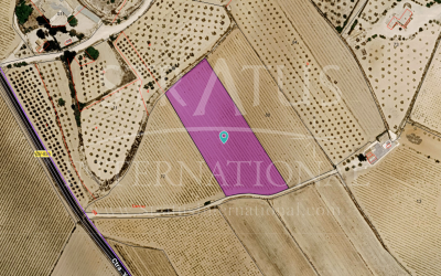 Land - For Sale - Pinoso - Pinoso Alicante