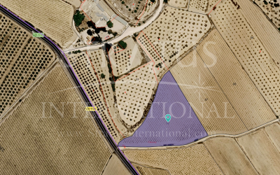 Land - For Sale - Pinoso - Pinoso Alicante
