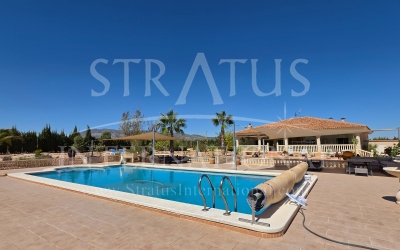 Villa - For Sale - Pinoso - Rural location